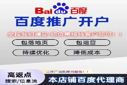 SEM推广实战：案例分析与优化